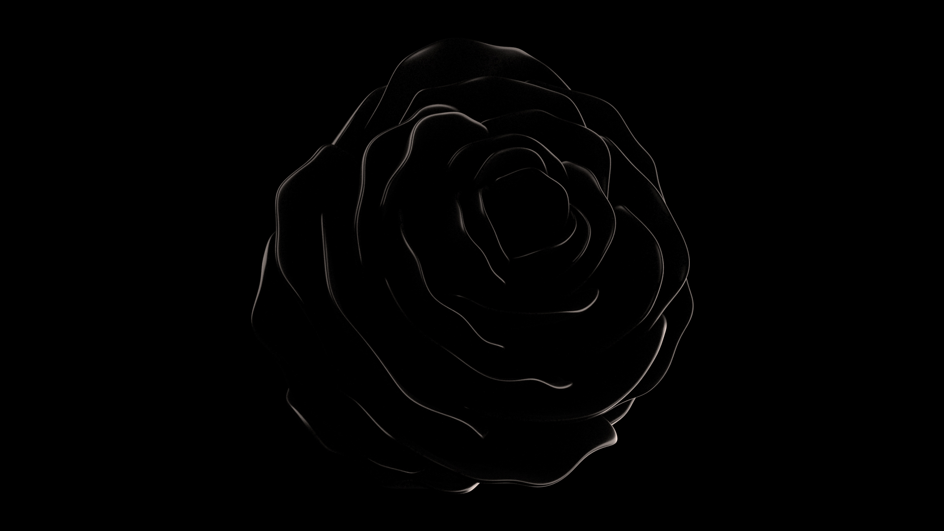 Black shiny rose, Rose 3D model, 3Ds Max